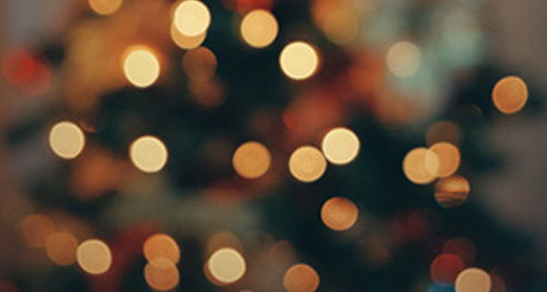 Christmas Lights are shining at Synapse