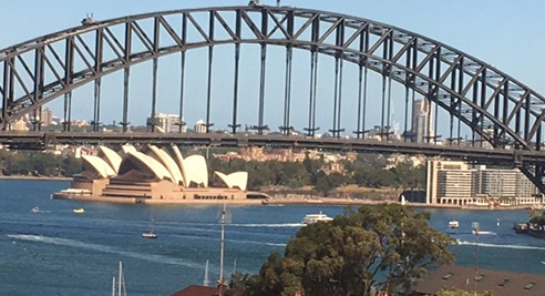 Sydney Harbour Bridge the United Nations of Synapse